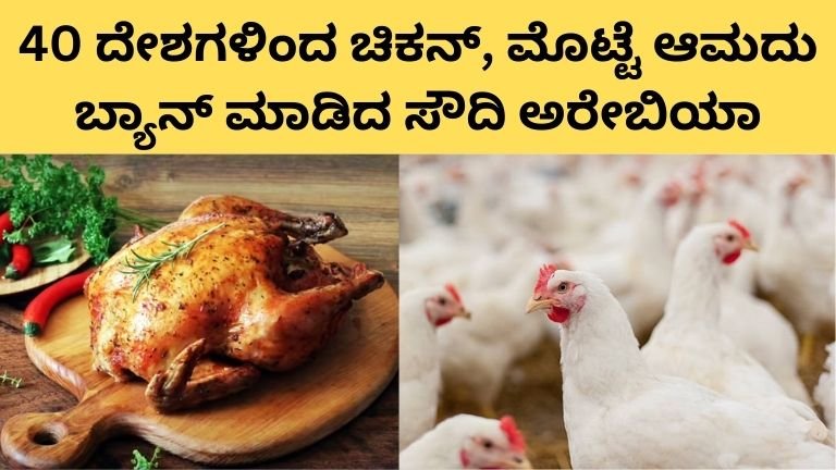 ಭಾರತ ಸೇರಿ 40 ದೇಶಗಳಿಂದ ಚಿಕನ್‌, ಮೊಟ್ಟೆ ಆಮದು ಬ್ಯಾನ್‌ ಮಾಡಿದ ಸೌದಿ ಅರೇಬಿಯಾ!