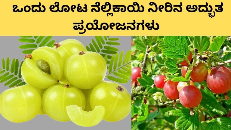 ನೆಲ್ಲಿಕಾಯಿ ಪ್ರಯೋಜನಗಳು