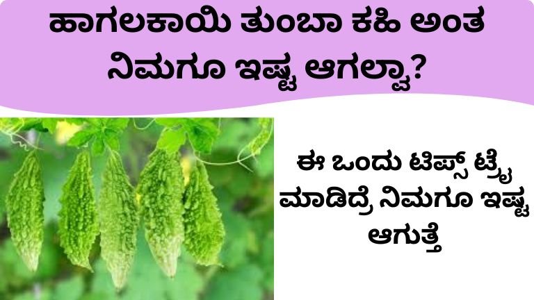 ಹಾಗಲಕಾಯಿ ತುಂಬಾ ಕಹಿ ನಾ ಇಷ್ಟ ಆಗಲ್ವಾ